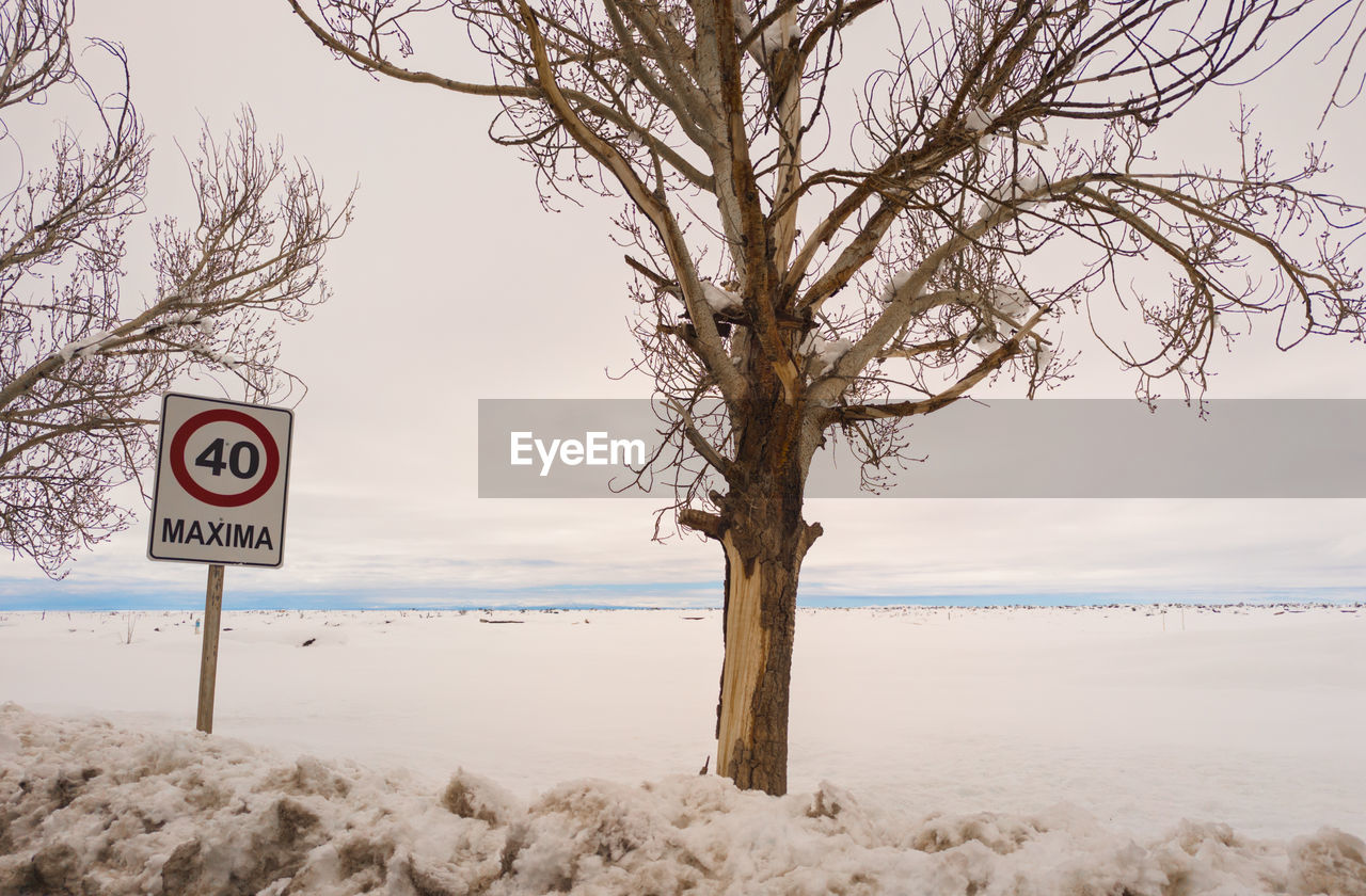 winter, snow, sign, tree, communication, road sign, nature, sky, land, plant, scenics - nature, no people, text, environment, landscape, beach, warning sign, water, road, beauty in nature, information sign, cold temperature, guidance, tranquility, morning, cloud, western script, outdoors, bare tree, day, stop sign, tranquil scene, ice, sea, freezing, branch, sand, non-urban scene