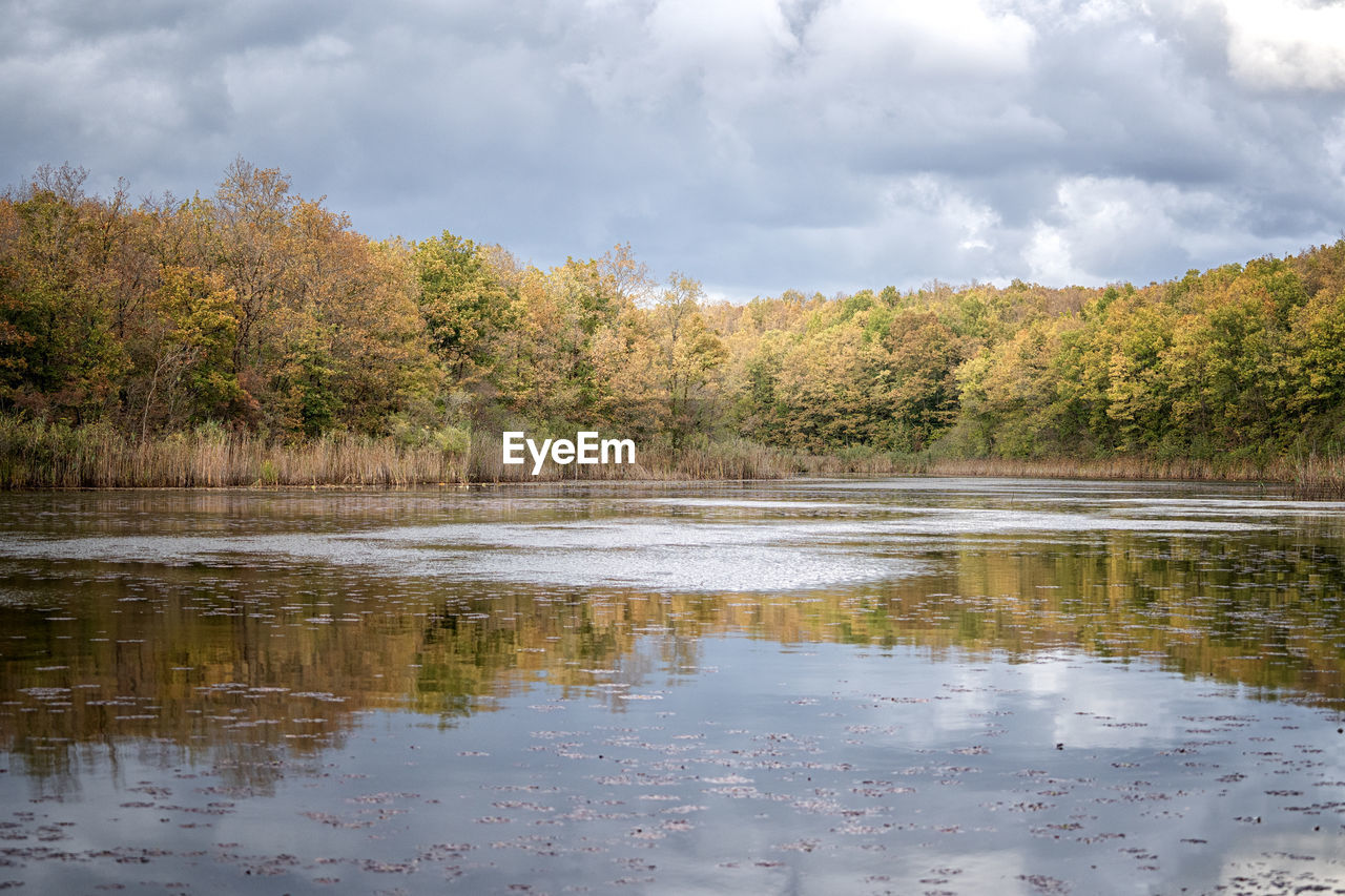 Scenic view of lake by trees against sky