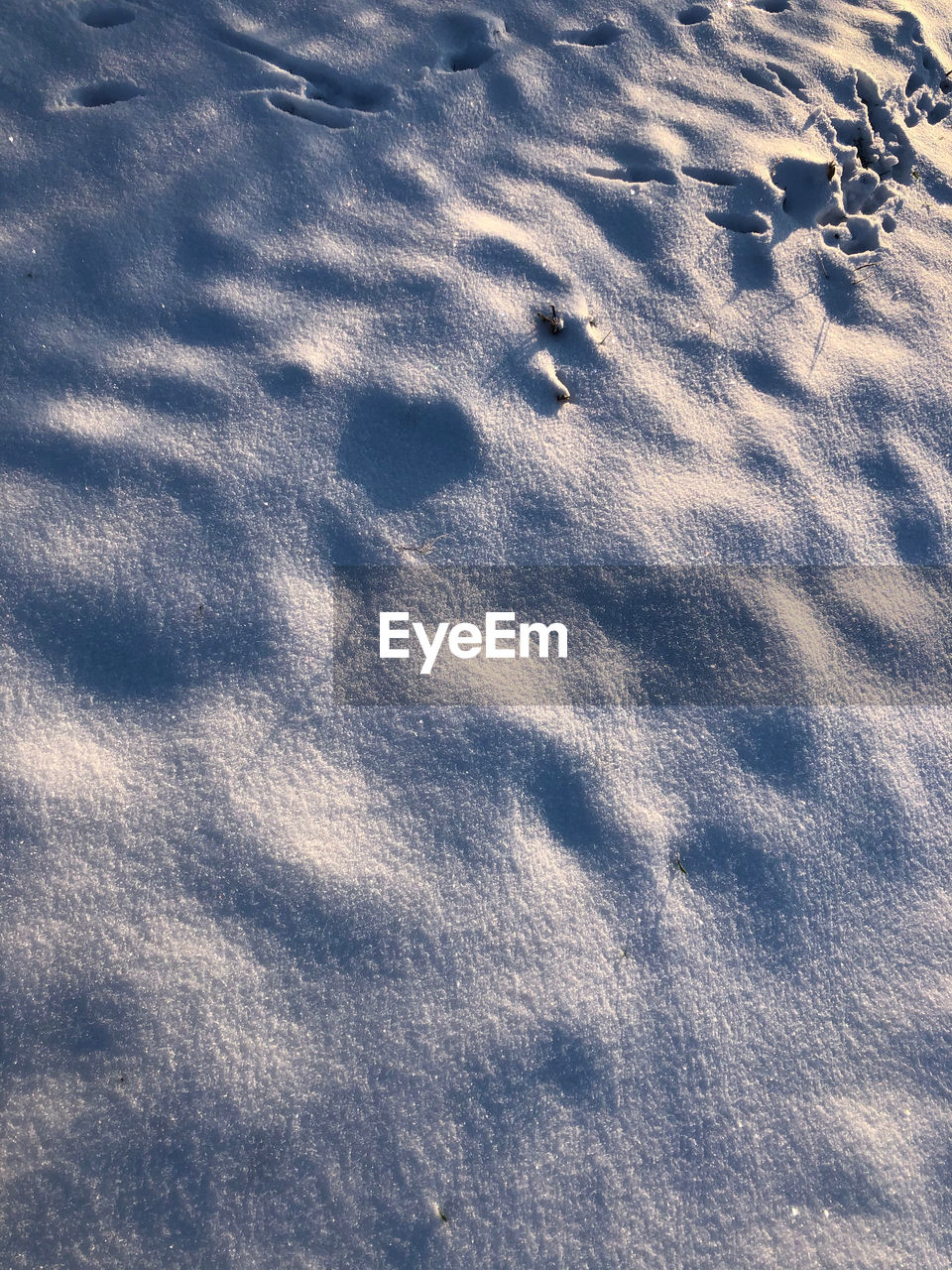 HIGH ANGLE VIEW OF SNOW COVERED LAND