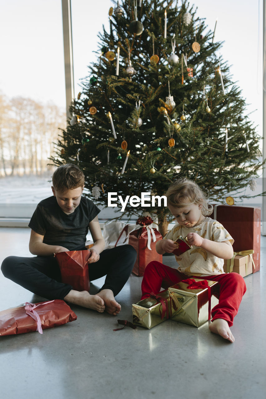 Brother and sister opening christmas presents under christmas tree