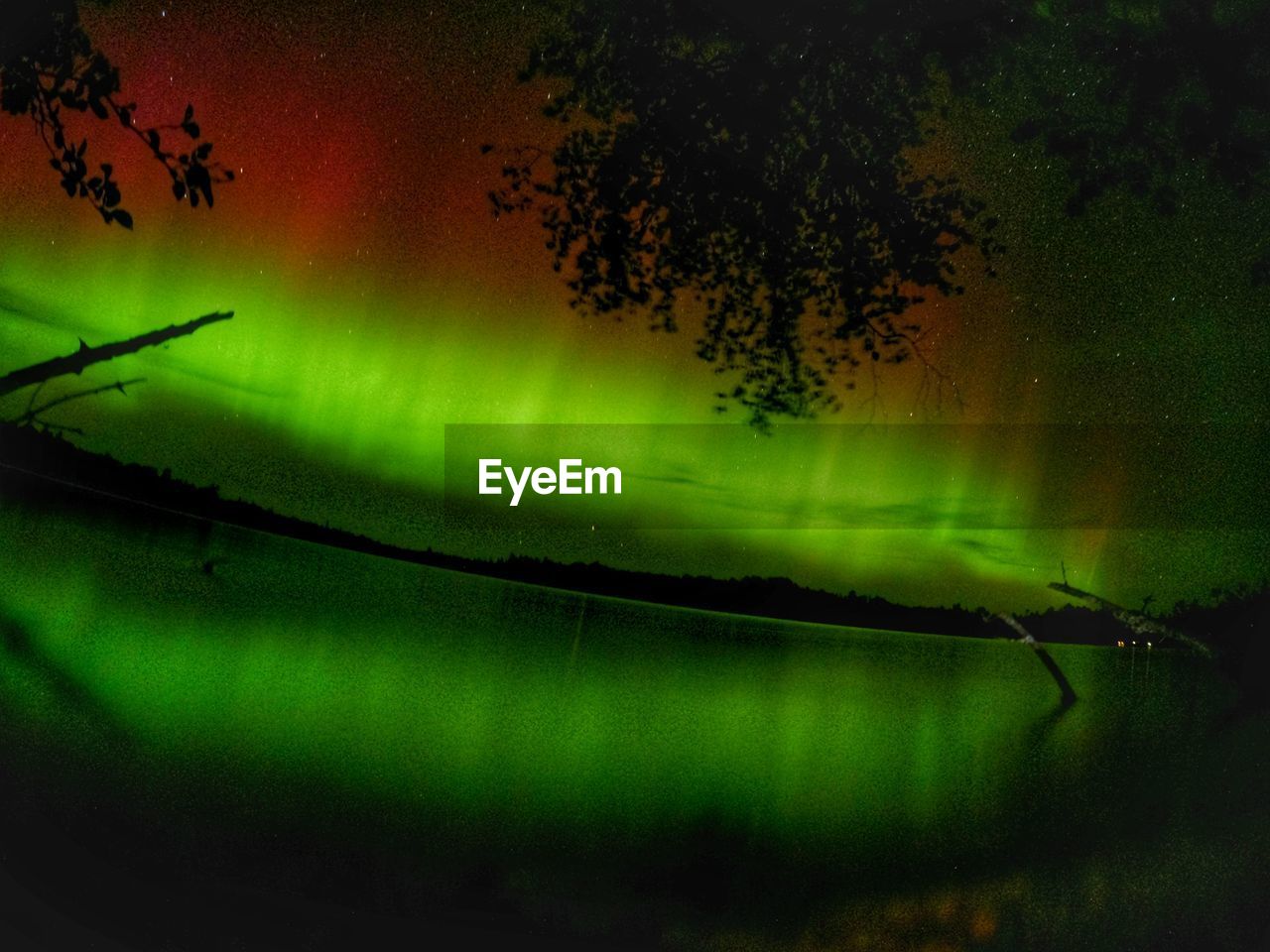 aurora, green, tree, beauty in nature, night, plant, nature, light, scenics - nature, no people, tranquility, sky, star, tranquil scene, illuminated, water, environment, silhouette, land, light - natural phenomenon, landscape, outdoors, lake, darkness, space, forest, astronomy, reflection, dramatic sky