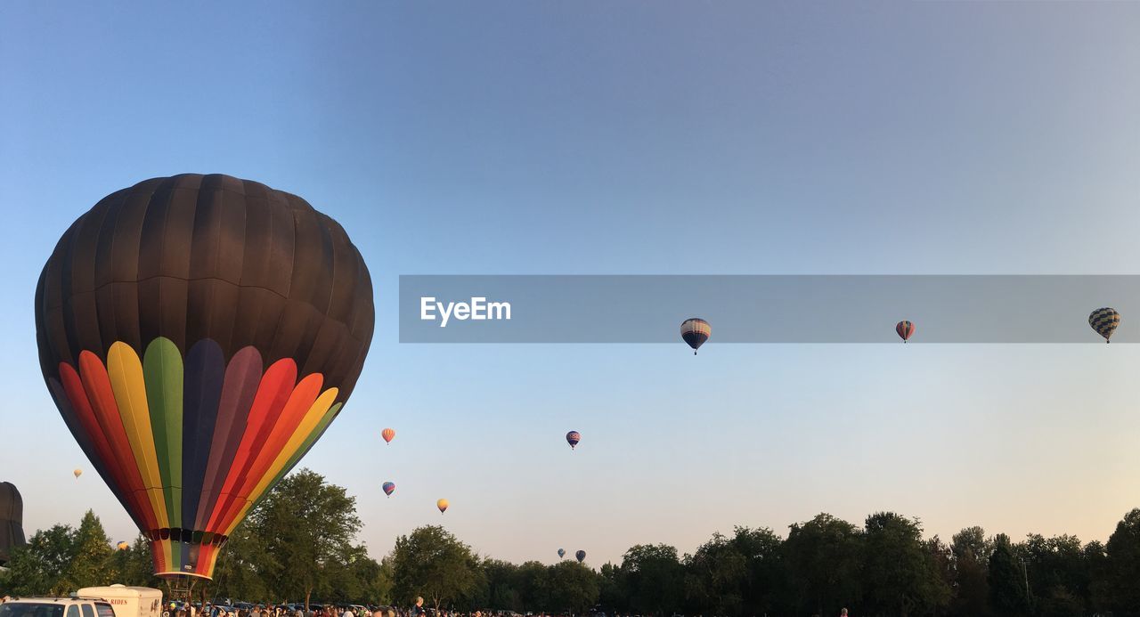 Hot air balloons flying against clear sky