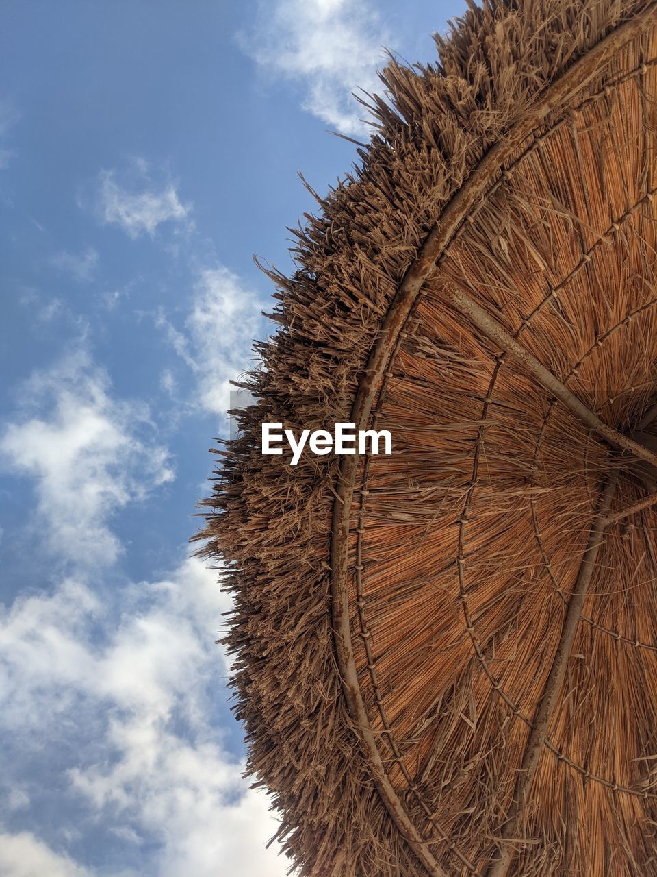 sky, cloud, nature, plant, tree, thatched roof, low angle view, no people, day, sunlight, outdoors, leaf, brown, close-up, straw, grass, flower