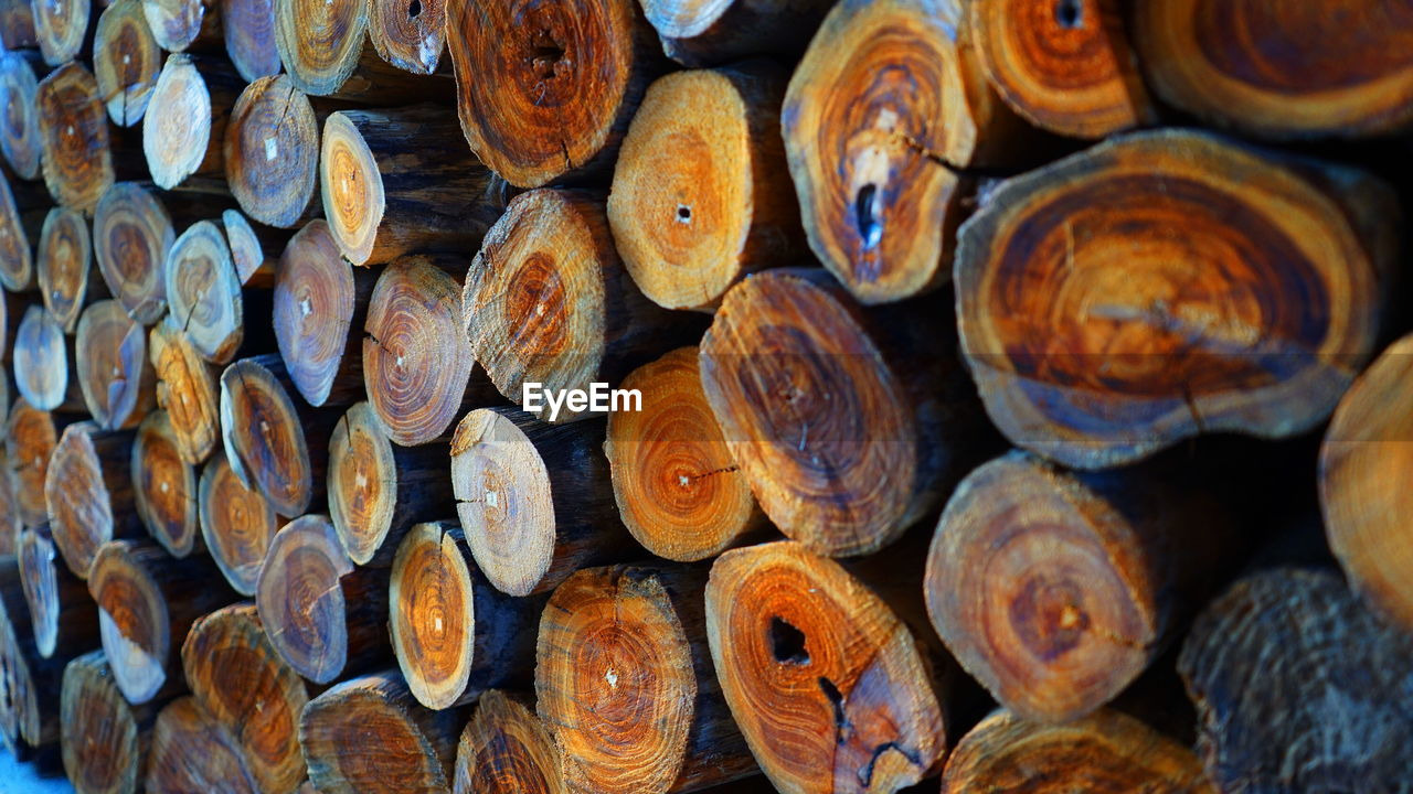 FULL FRAME SHOT OF LOGS