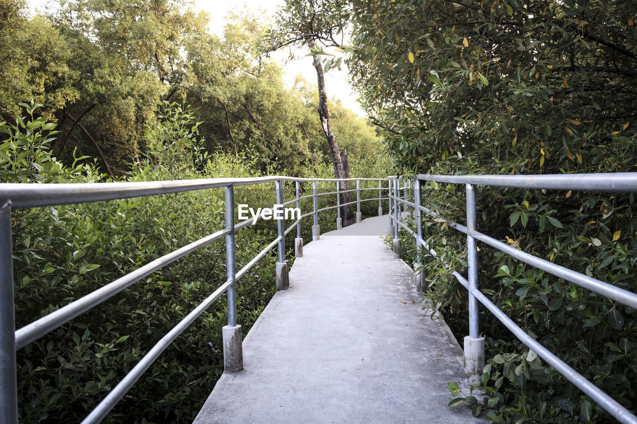 FOOTBRIDGE AMIDST TREES AND PLANTS IN FOREST