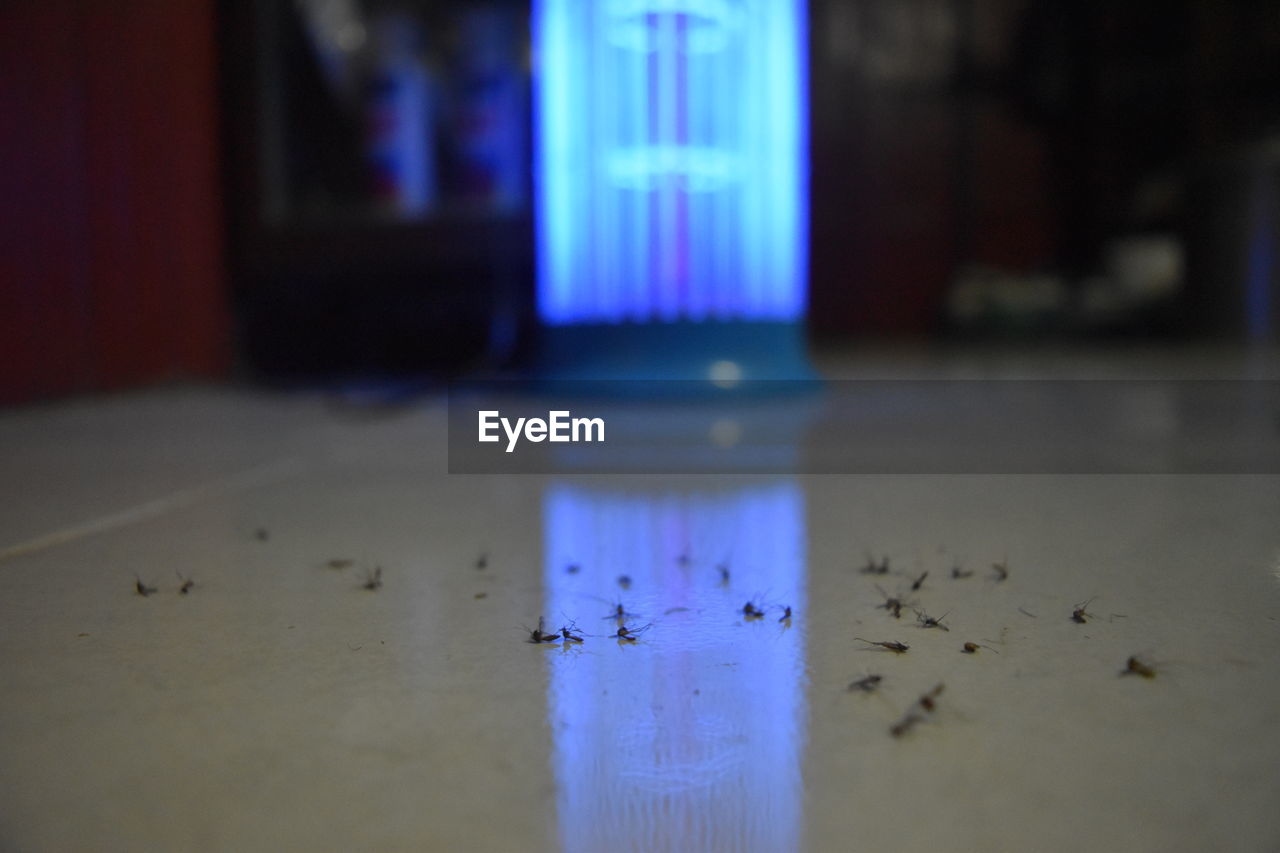 Dead mosquitoes on floor against bug zapper
