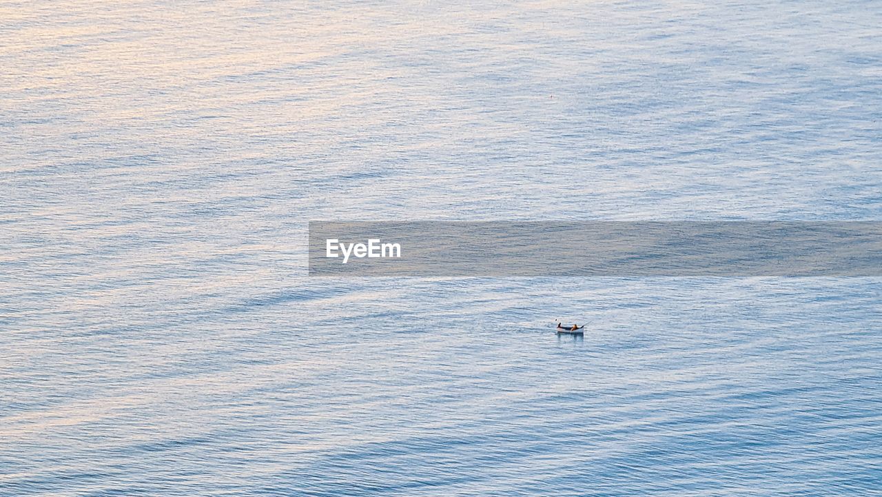 water, sea, high angle view, beauty in nature, ocean, nature, day, scenics - nature, tranquility, waterfront, horizon, no people, tranquil scene, outdoors, wave, animal, transportation, animal wildlife, animal themes, wildlife, one animal, blue, nautical vessel, rippled, wave pattern, idyllic, motion, coast, travel, mode of transportation, shore