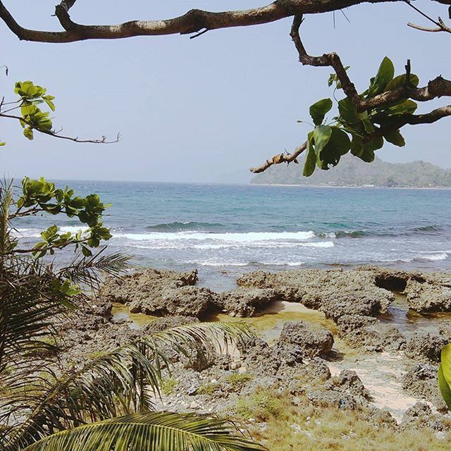 SCENIC VIEW OF SEA WITH TREES IN BACKGROUND