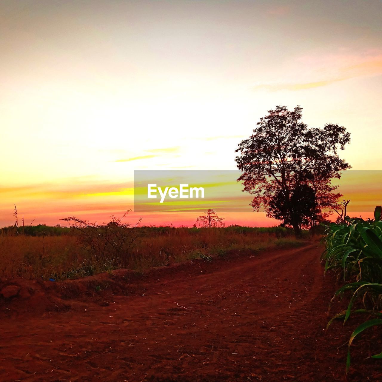 SCENIC VIEW OF LAND AGAINST SKY DURING SUNSET