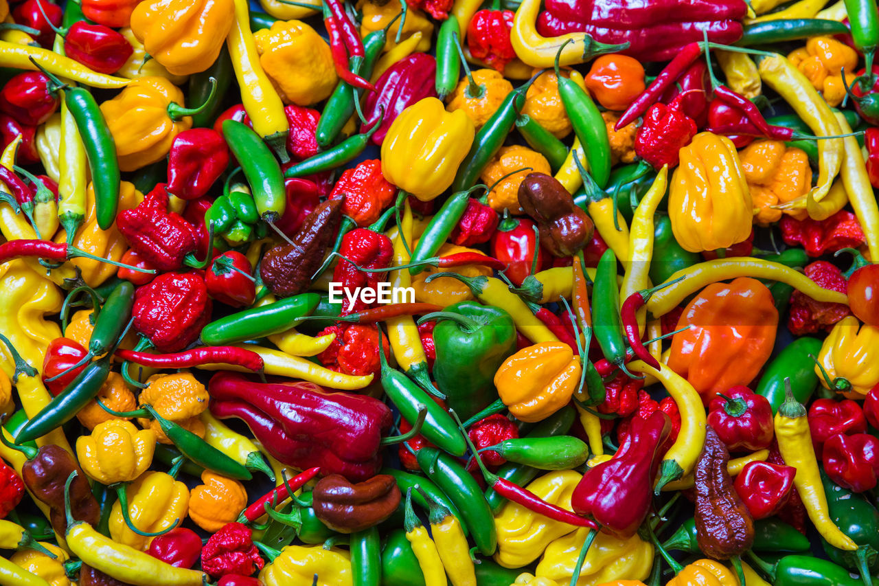 FULL FRAME SHOT OF MULTI COLORED CANDIES