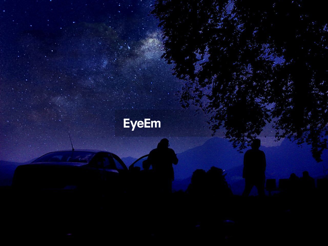 Low angle view of silhouette people on field against sky at night