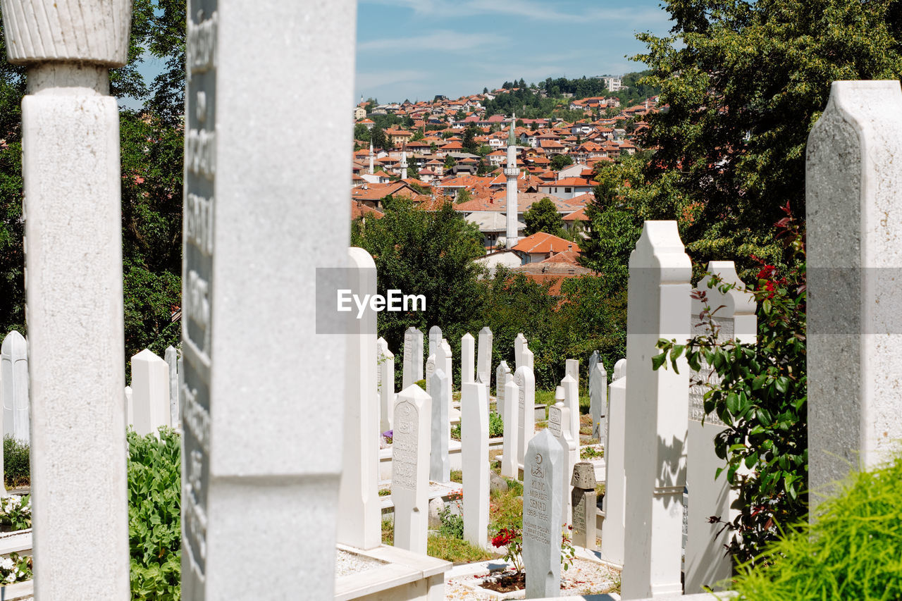 Plants growing in cemetery by building