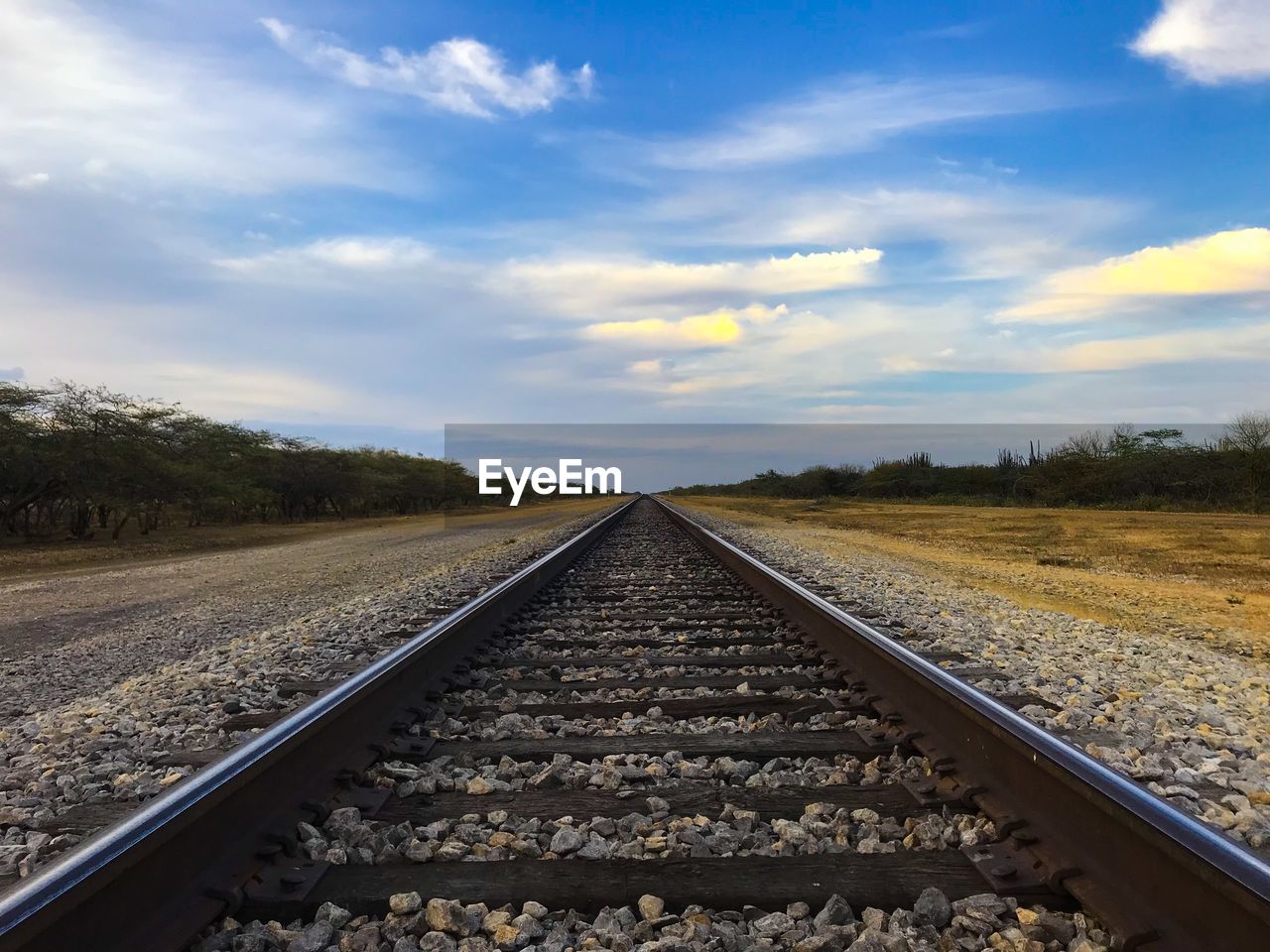 SURFACE LEVEL OF RAILROAD TRACK