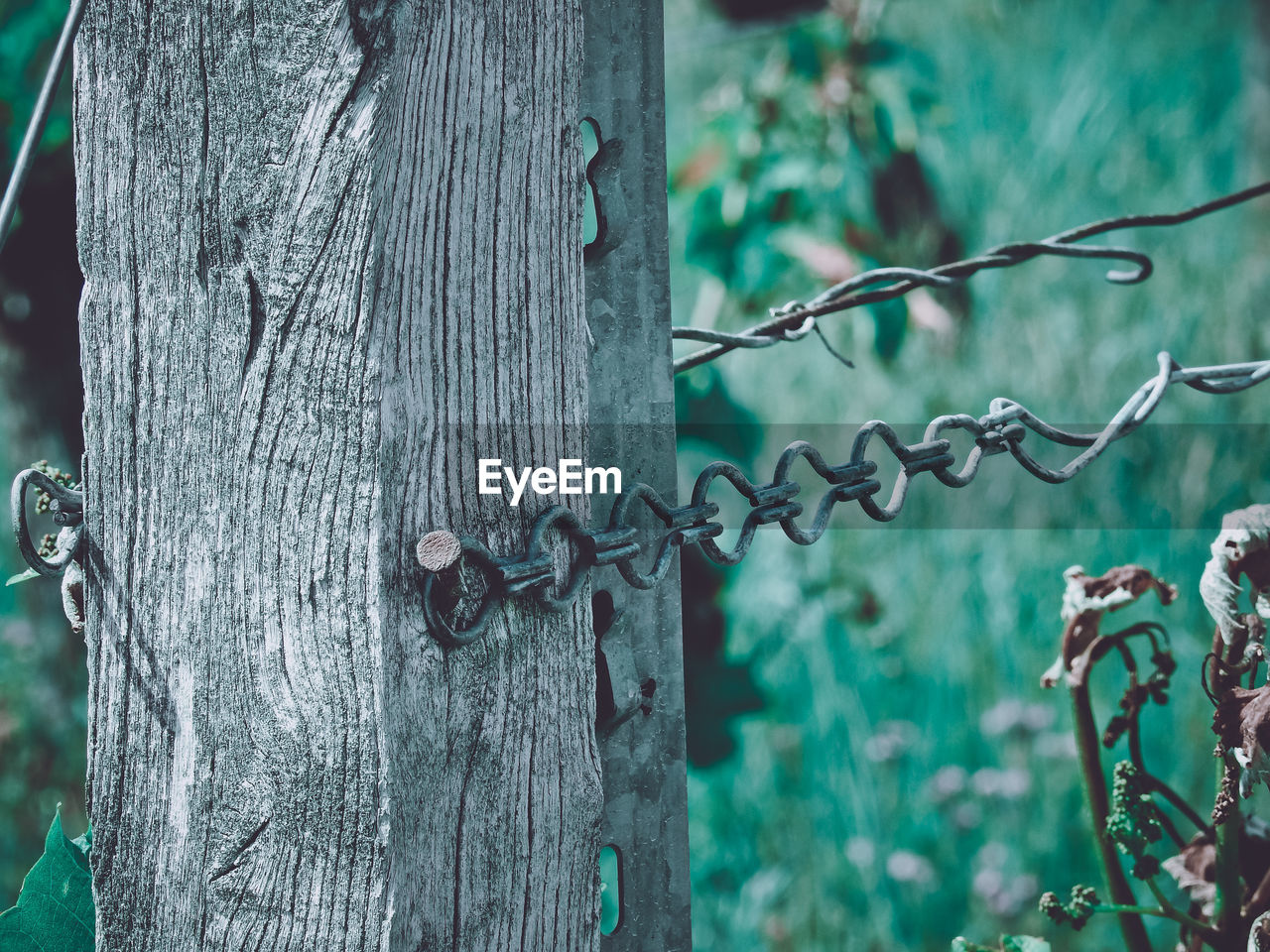 CLOSE-UP OF CHAIN AGAINST TREES