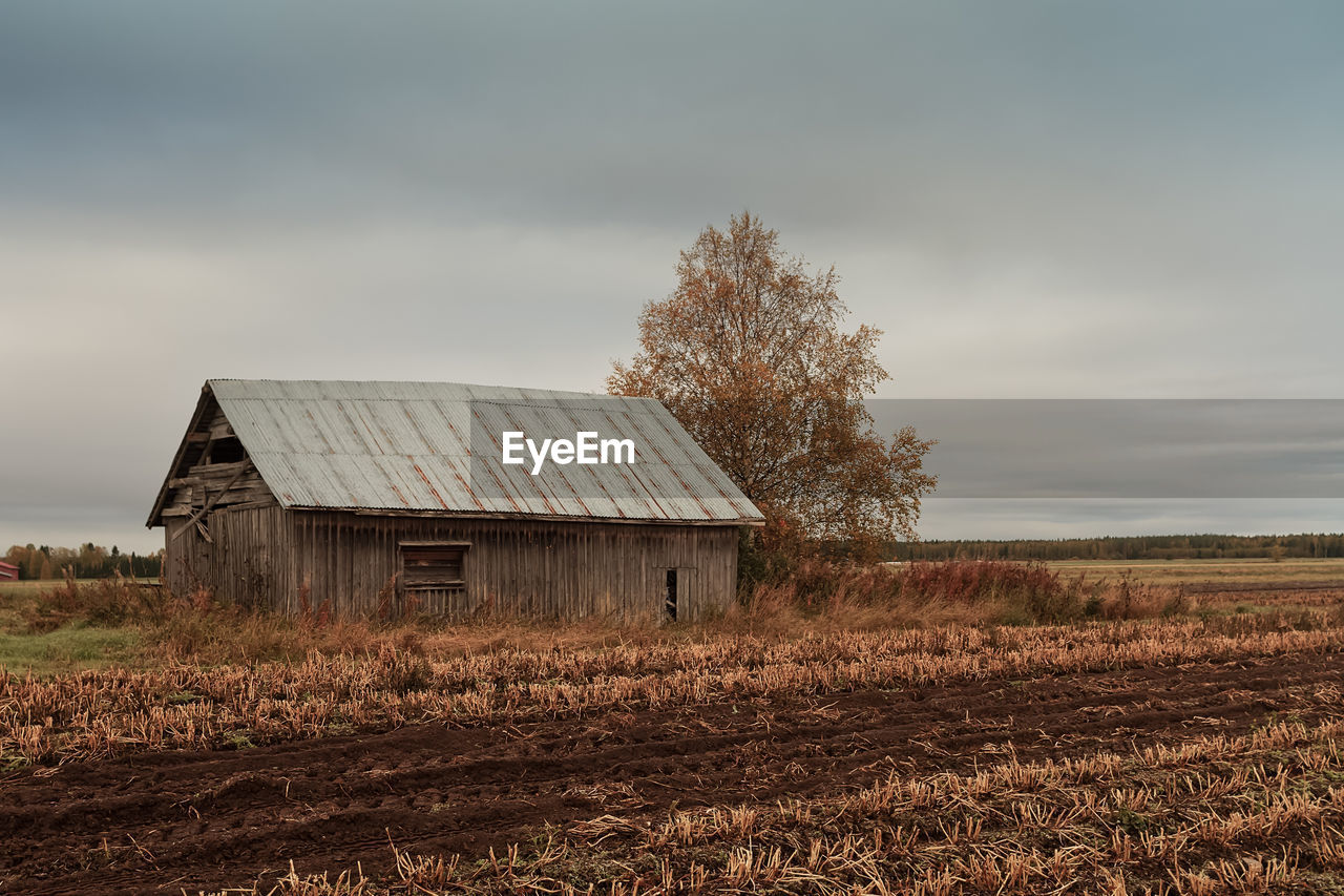 An old barn house standing by the plowed field on a grey autumn day at the rural finland. 