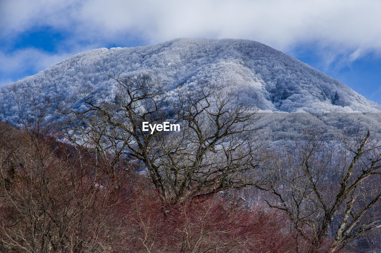 scenic view of snowcapped mountain against sky