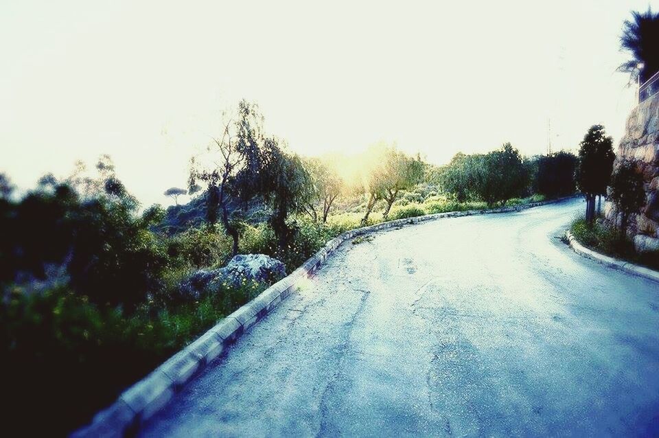 ROAD AMIDST TREES AGAINST SKY