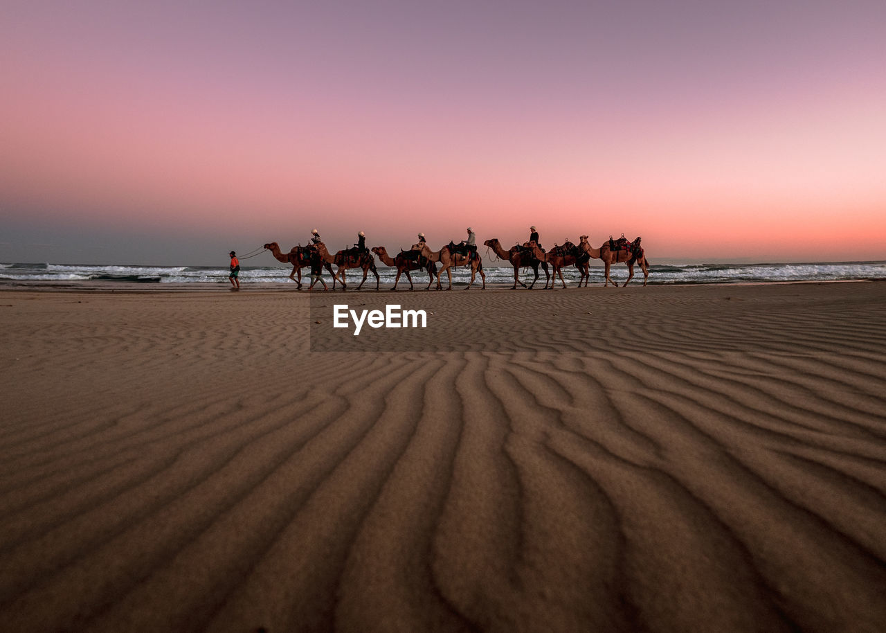 People riding camels at beach against sky