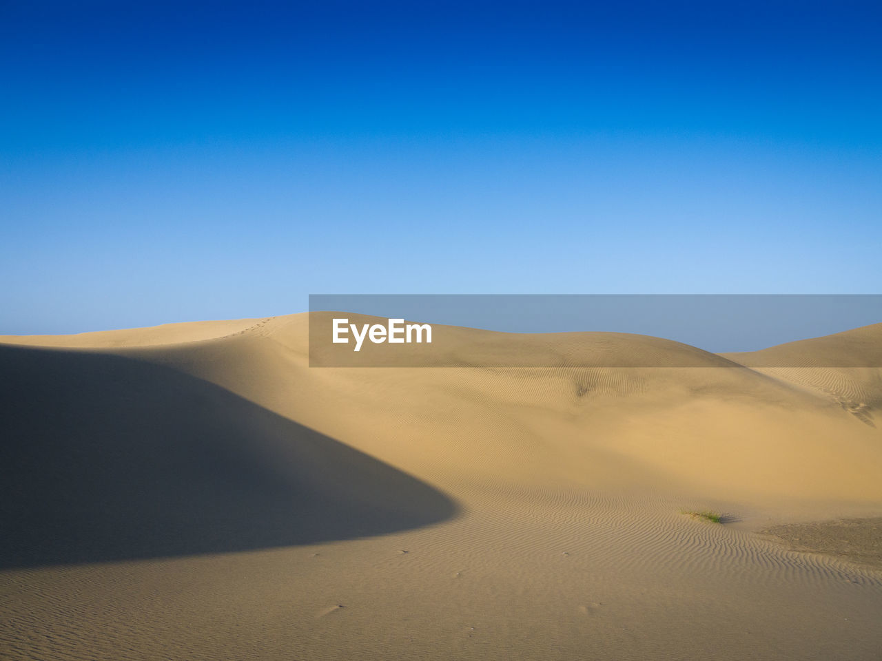 SCENIC VIEW OF SAND DUNE AGAINST CLEAR SKY