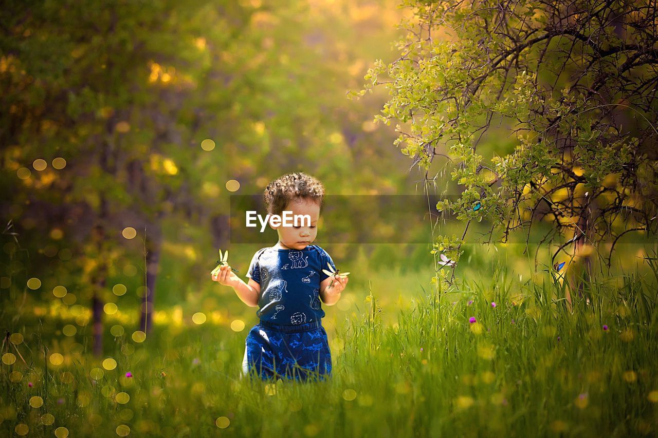 Cute baby boy girl standing on field during autumn