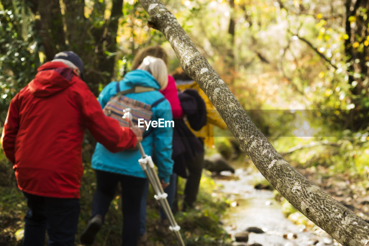 REAR VIEW OF MAN AND WOMAN WALKING ON TREE