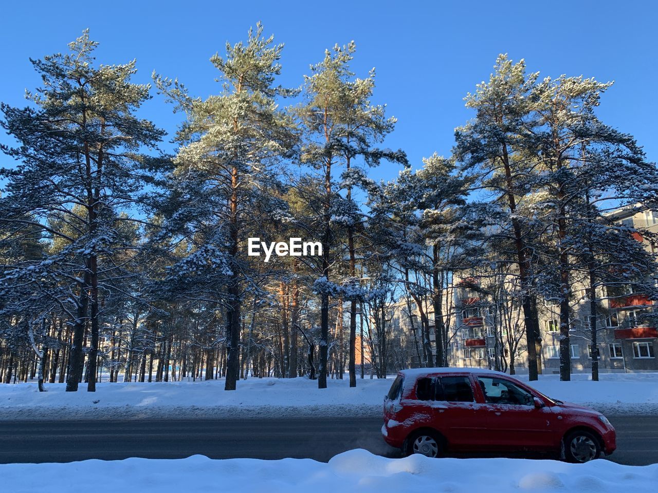 Trees on snow covered field against sky