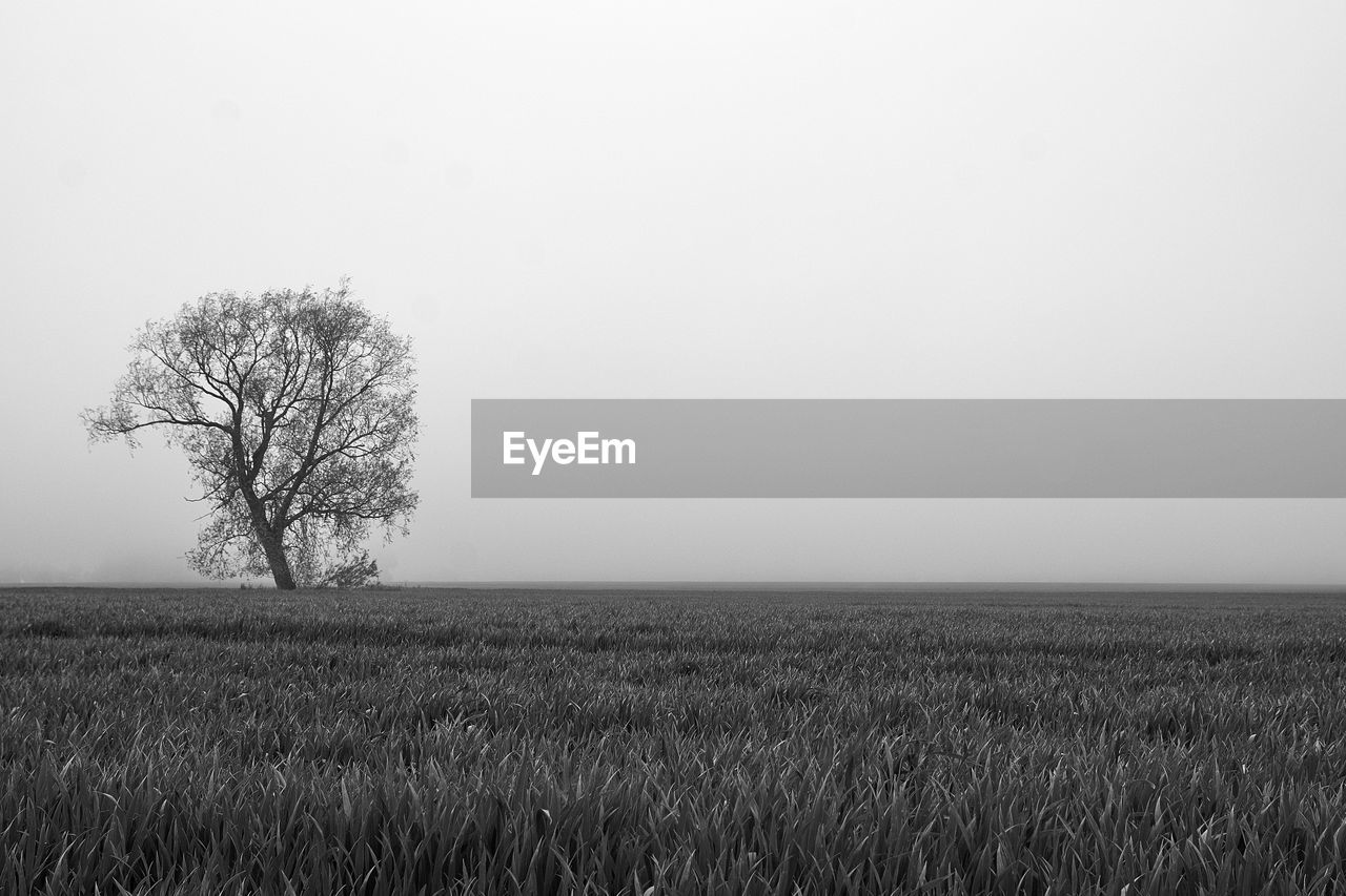 SCENIC VIEW OF LAND AGAINST CLEAR SKY