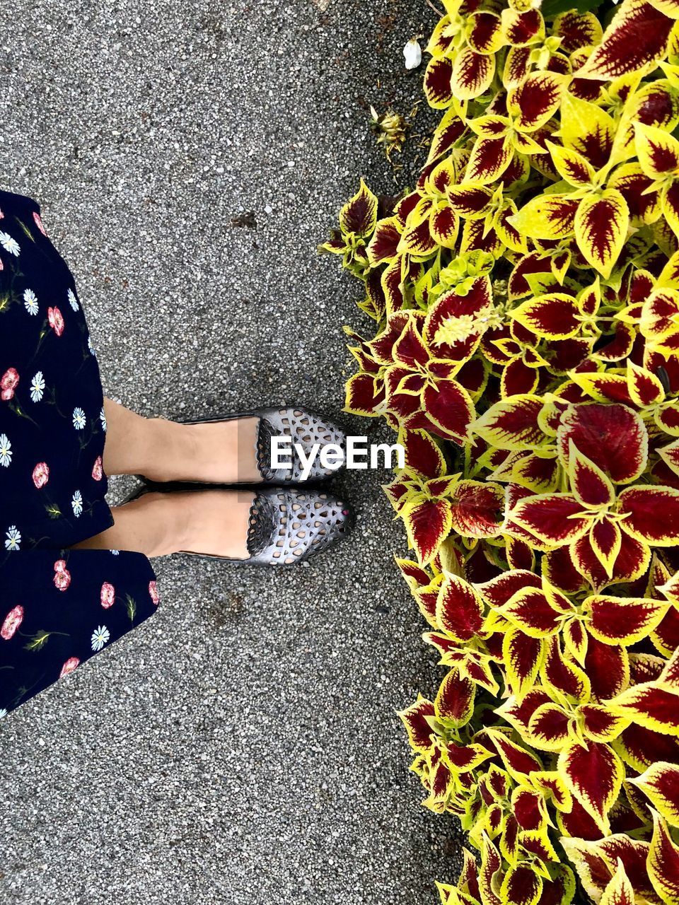 Shoes and flowers 