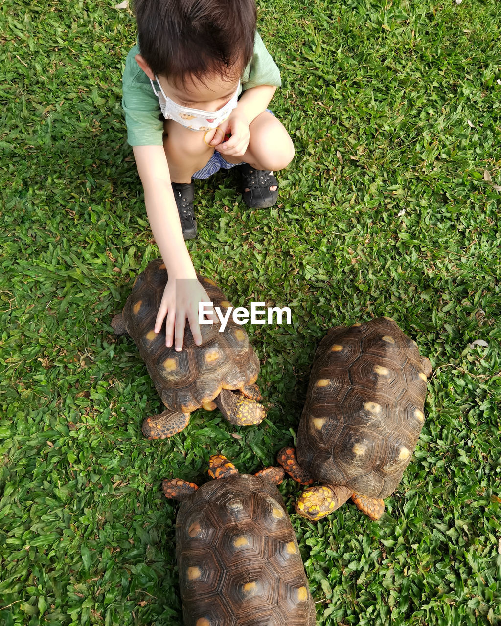 High angle view of boy on grass