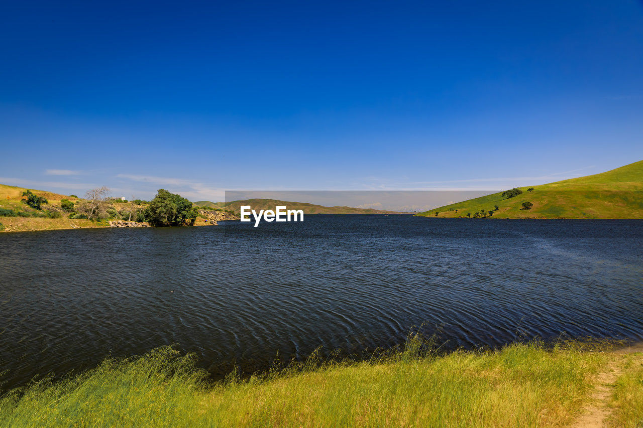 scenic view of field against clear blue sky