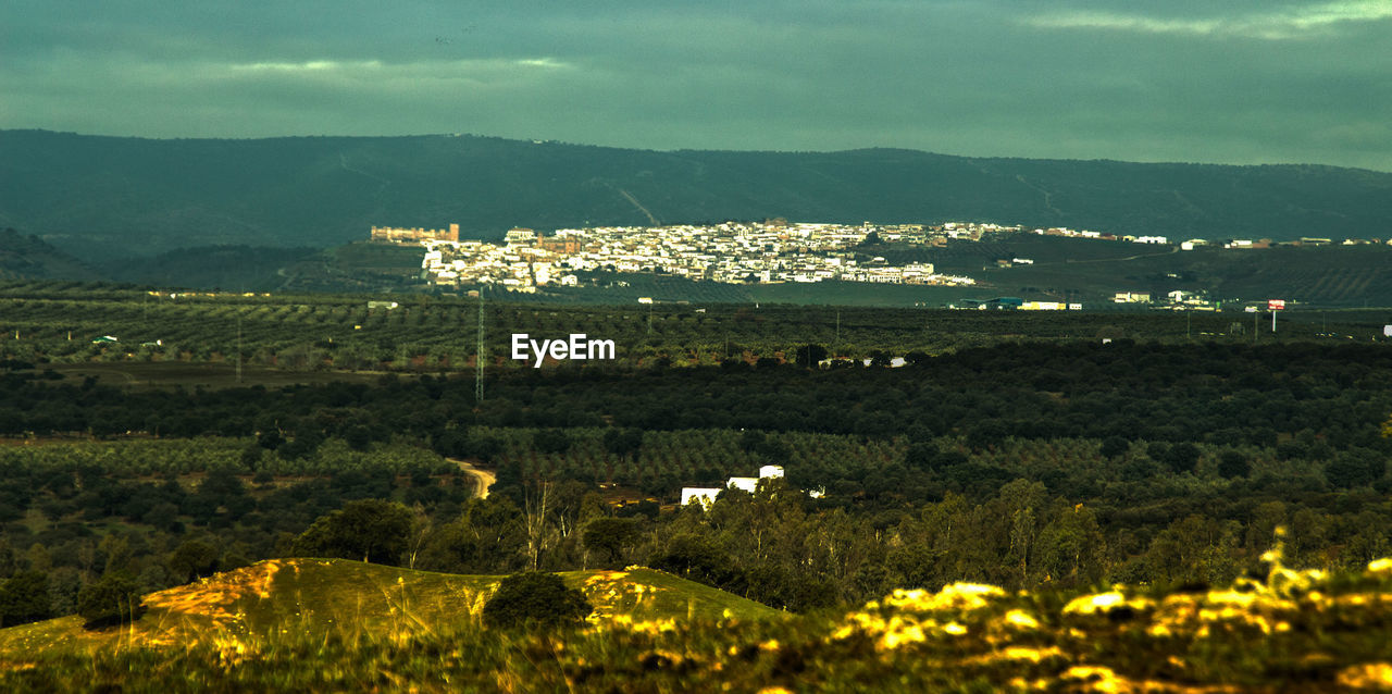 Scenic view of green landscape on sunny day