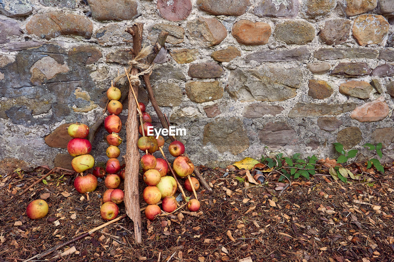 HIGH ANGLE VIEW OF FRUIT ON WALL