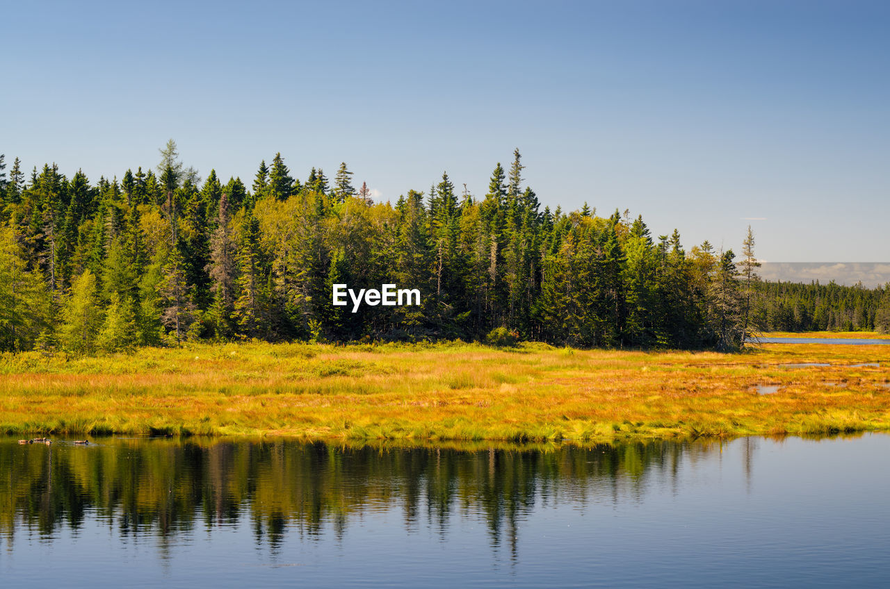 Scenic view of lake against clear sky