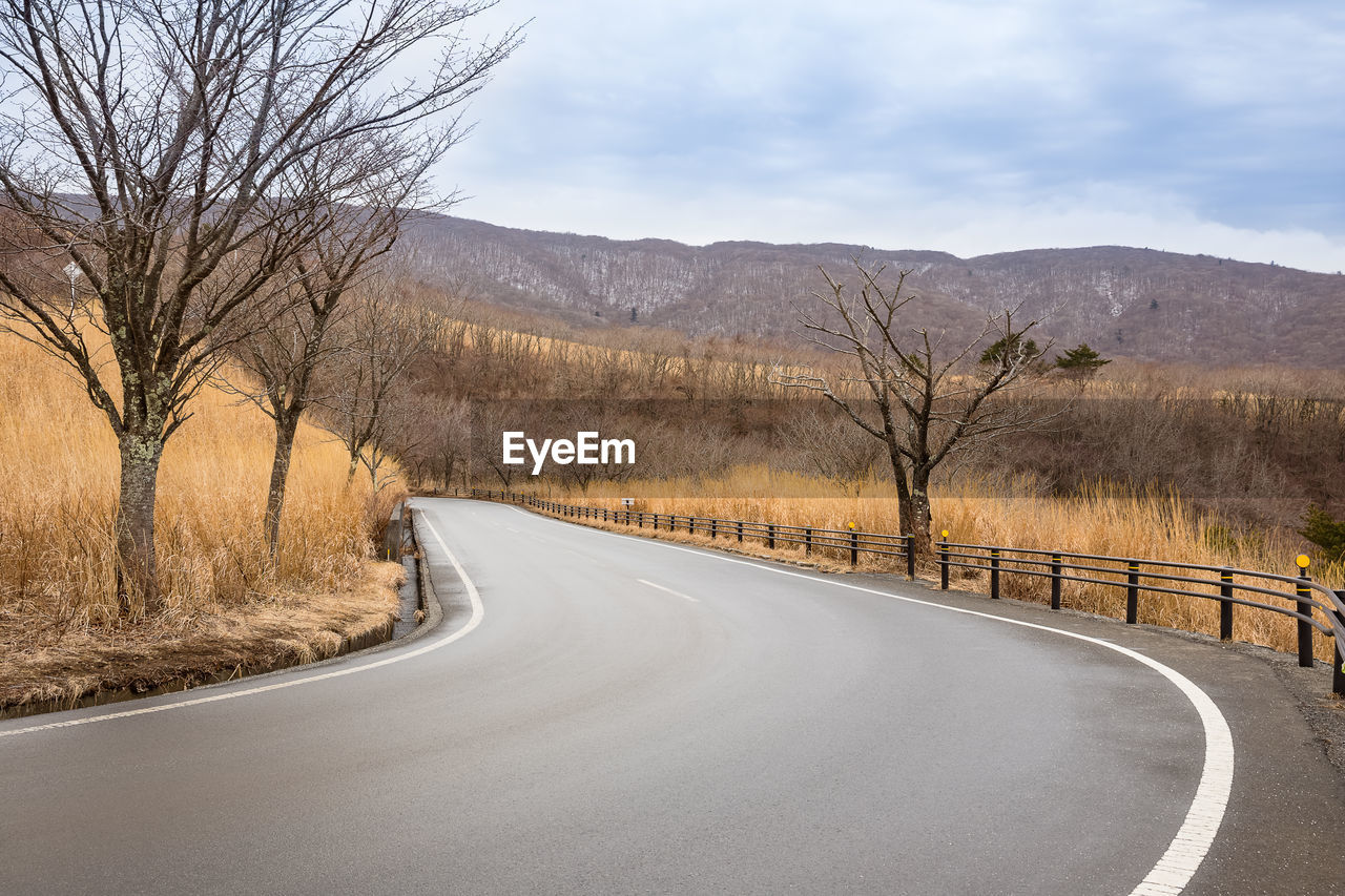 Empty road amidst trees against sky