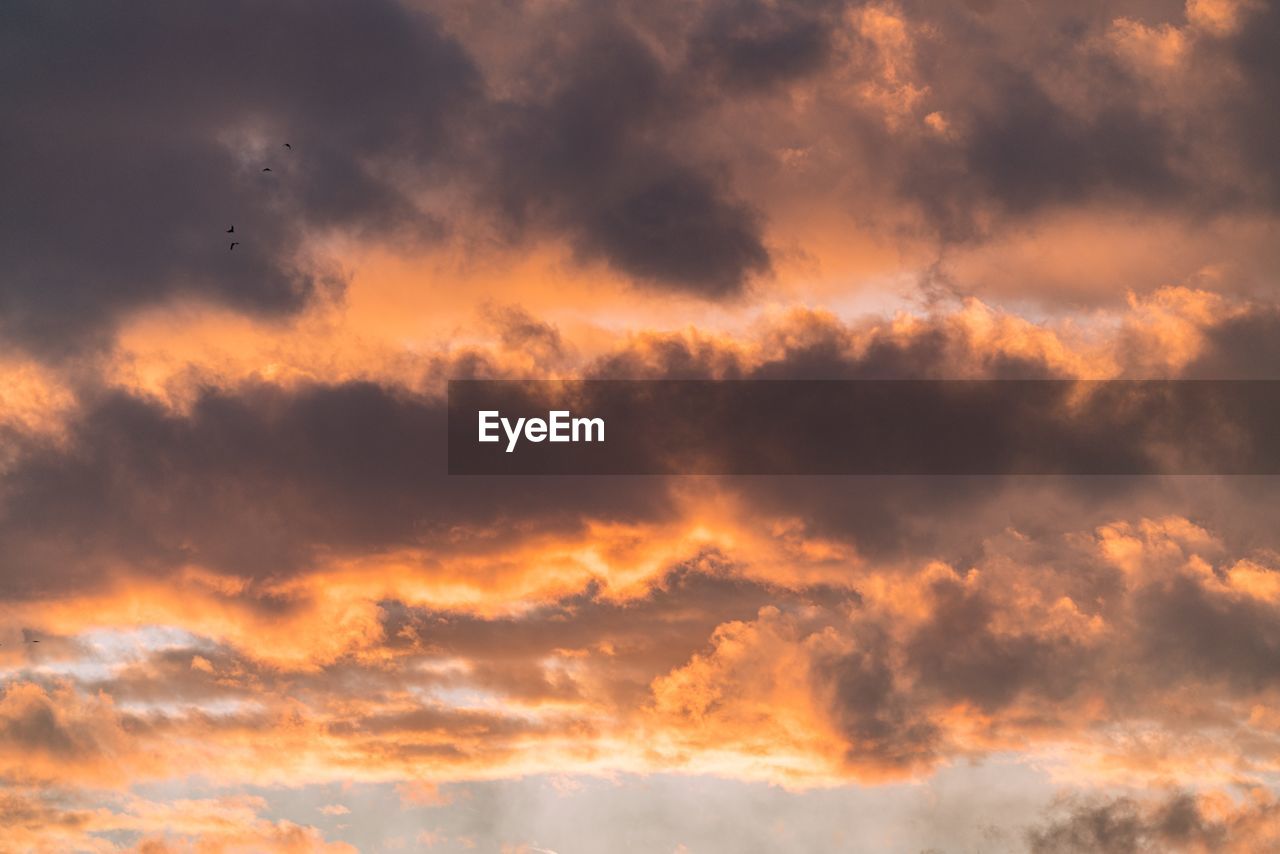 Low angle view of dramatic sky during sunset