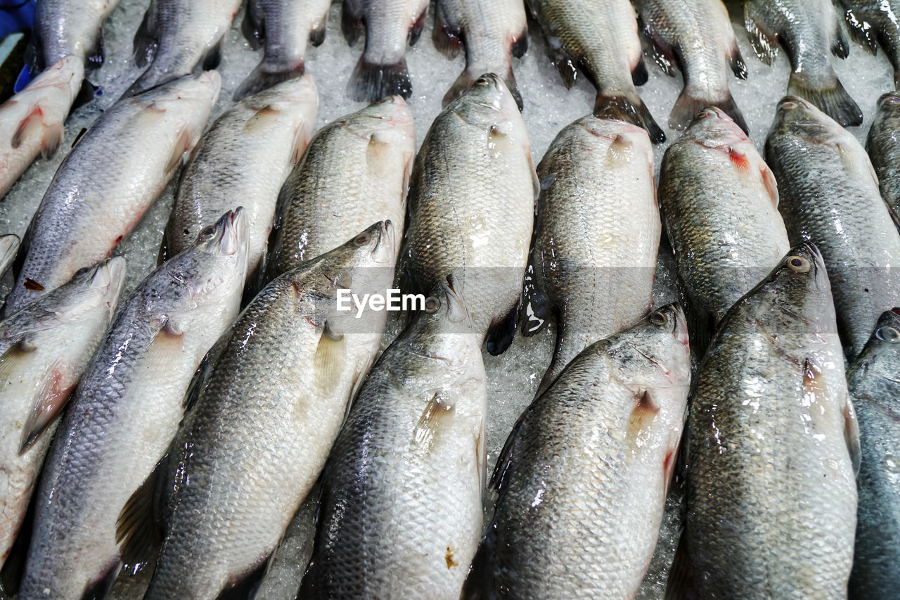 Full frame shot of fish for sale in market