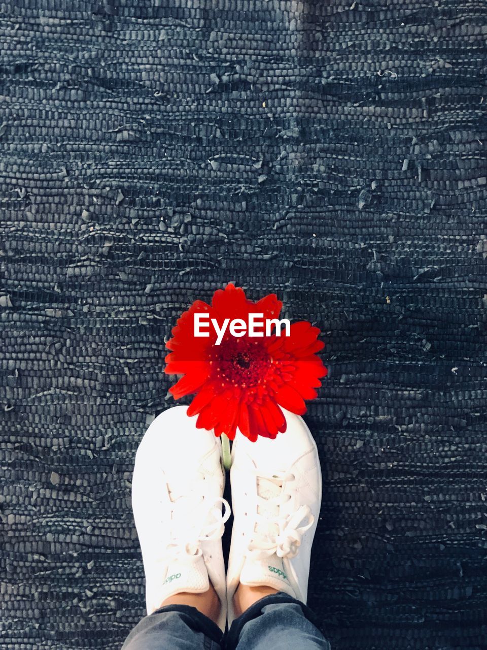 LOW SECTION OF WOMAN WITH RED FLOWER ON WALL