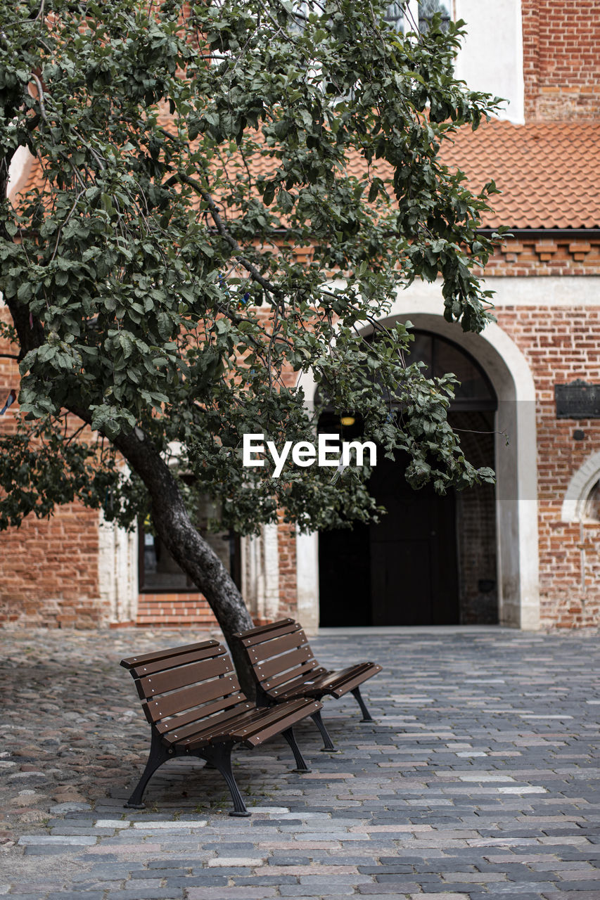 Empty bench by tree against building