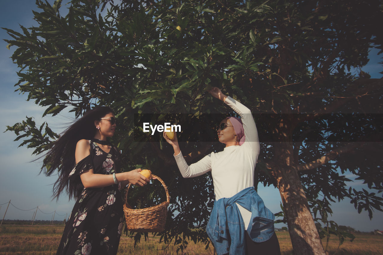 Woman standing by mango tree against plants