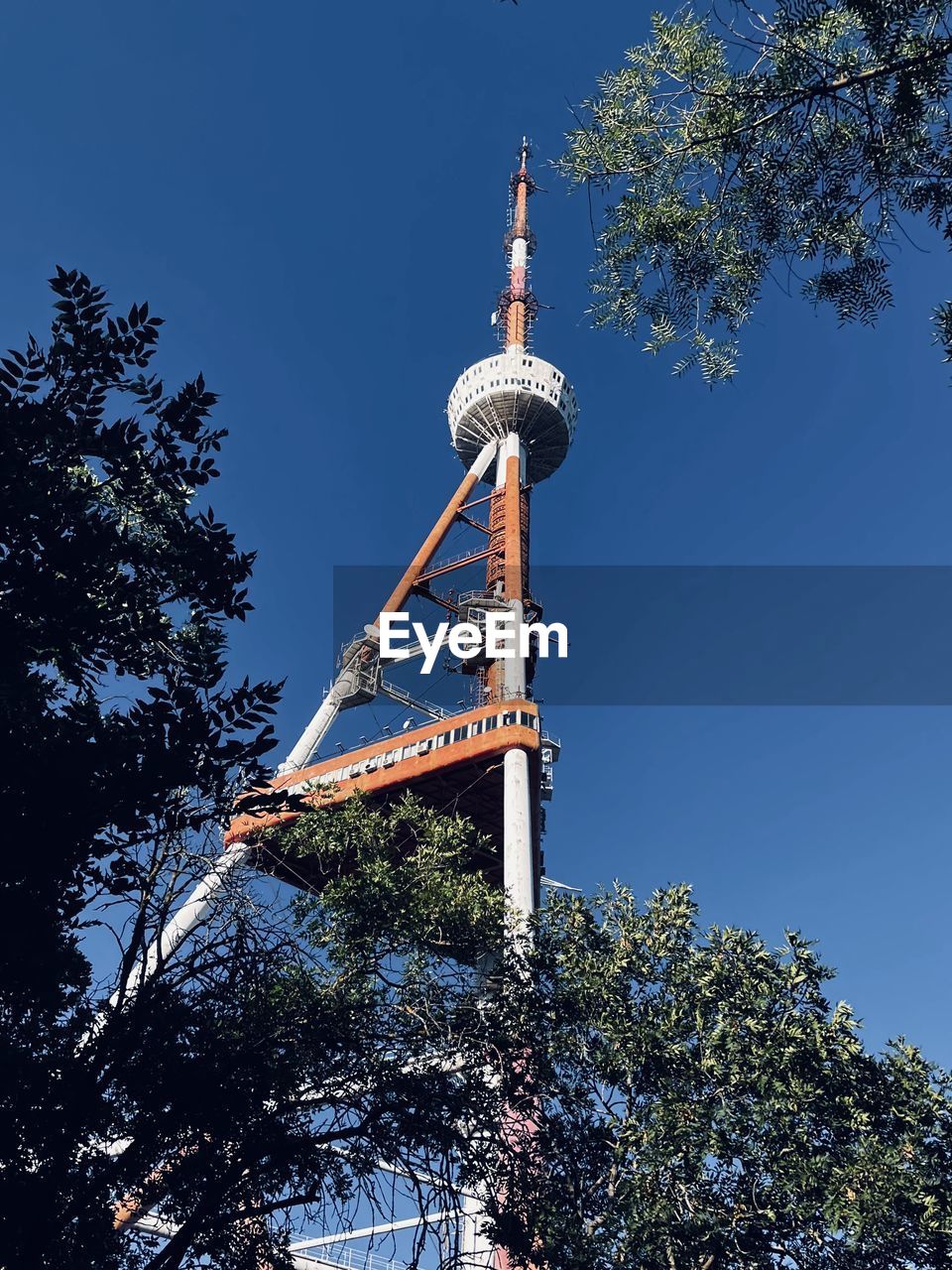 tree, sky, communications tower, architecture, tower, observation tower, plant, built structure, nature, communication, broadcasting, low angle view, technology, clear sky, blue, travel destinations, no people, global communications, outdoors, travel, building exterior, day, sunny, tourism, television industry, city, landmark, telecommunications equipment