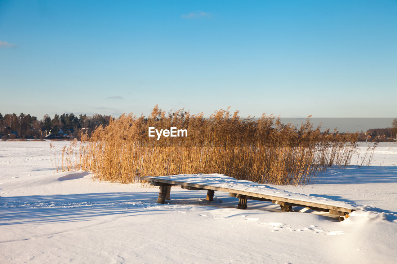 Scenic view of frozen field against clear sky