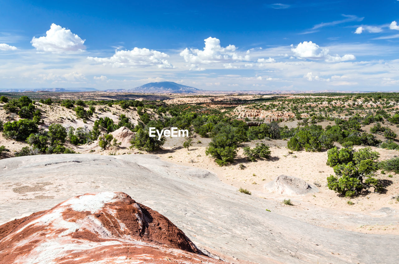 SCENIC VIEW OF LAND AGAINST SKY