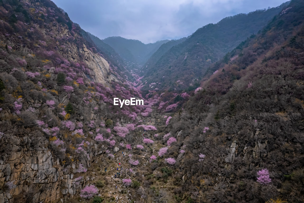 scenic view of mountains