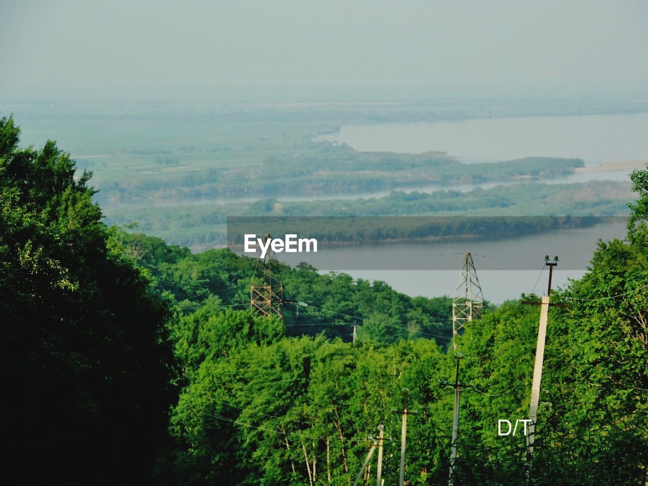 HIGH ANGLE VIEW OF TREES AND PLANTS IN FOREST AGAINST SKY