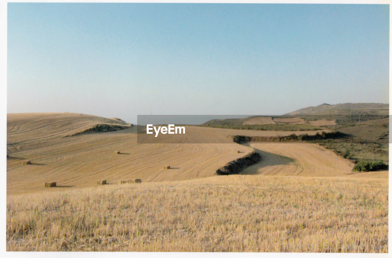 SCENIC VIEW OF AGRICULTURAL LANDSCAPE AGAINST CLEAR SKY