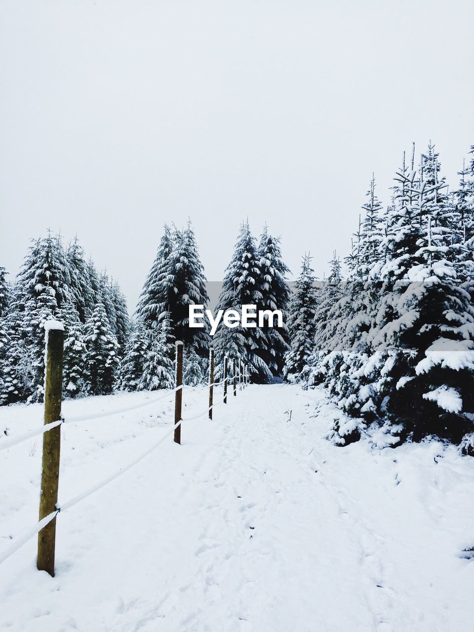 Scenic view of snow covered field