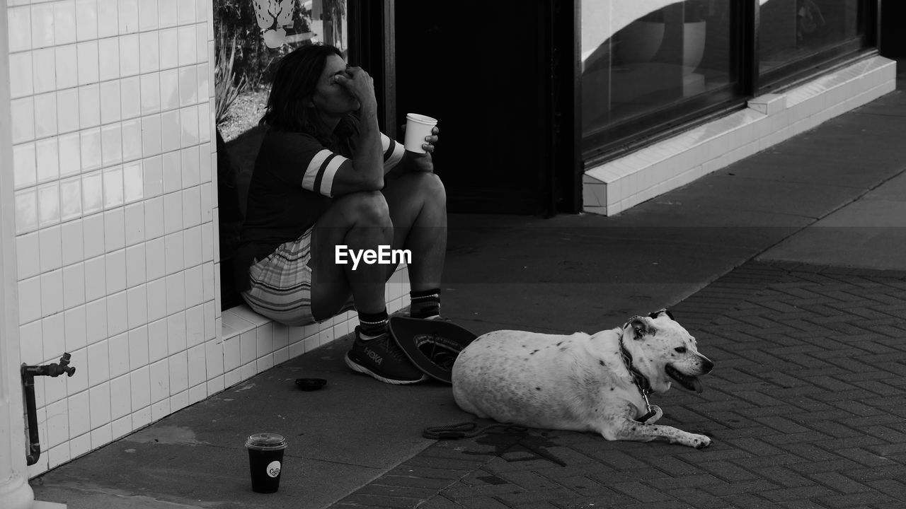 white, black, dog, black and white, pet, one animal, mammal, domestic animals, animal themes, canine, monochrome, animal, full length, monochrome photography, person, sitting, road, street, one person, architecture, adult, carnivore, homelessness, lifestyles, snapshot, flooring, footpath, city, poverty, relaxation