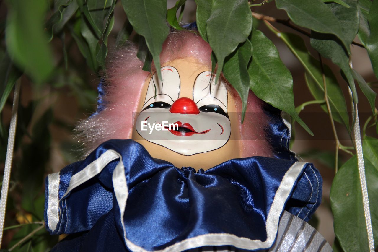 Close-up of toy clown on tree