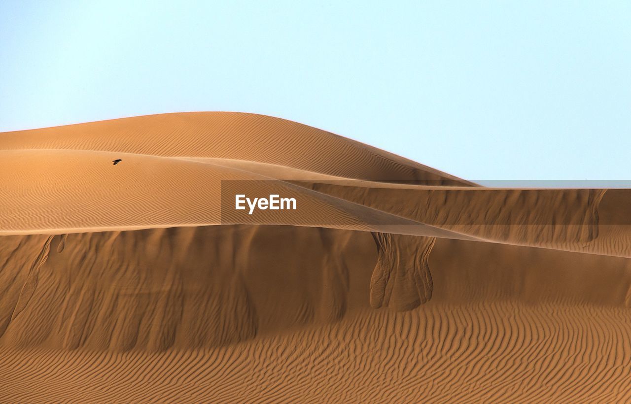 Scenic view of sand dunes in desert