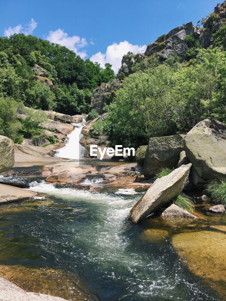 RIVER FLOWING AMIDST TREES AGAINST SKY